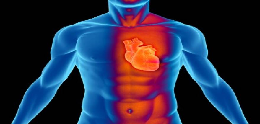 Σώστε την καρδιά σας: Με την κρυολιπόλυση κερδίζετε καρδιακή υγεία και χρόνια ζωής