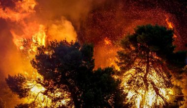 Κορινθία: Φωτιά σε δάσος στην περιοχή Ευρωστίνη