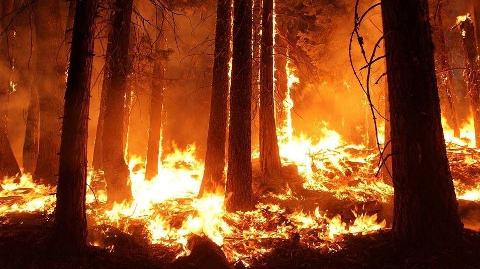 Κλιματική αλλαγή: Το VoxEurop προειδοποιεί για τεράστιες πυρκαγιές στη Μεσόγειο