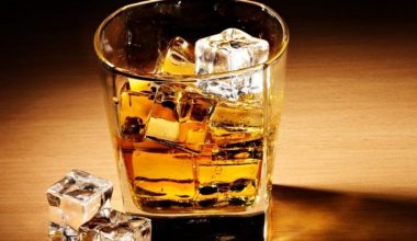 Η λίστα για την κατανάλωση αλκοόλ στην Ευρώπη – Ποιοι αναδείχθηκαν «πρωταθλητές» και σε ποια θέση βρίσκεται η Ελλάδα