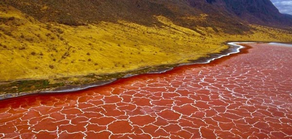 Εντυπωσιακές εικόνες από ασυνήθιστη «ραγισμένη» κόκκινη λίμνη (φωτο)