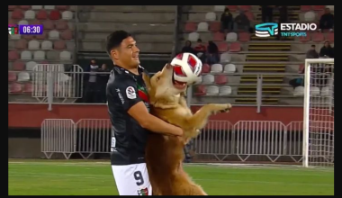 Χιλή: Σκυλί εισβάλει στον αγωνιστικό χώρο και διακόπτει ποδοσφαιρικό αγώνα (βίντεο)