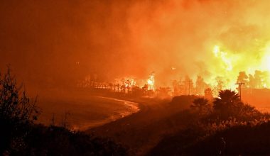 Νίκος Νικολόπουλος: «Οι πυρκαγιές που μαίνονται στην Ελλάδα είναι μια τραγωδία»