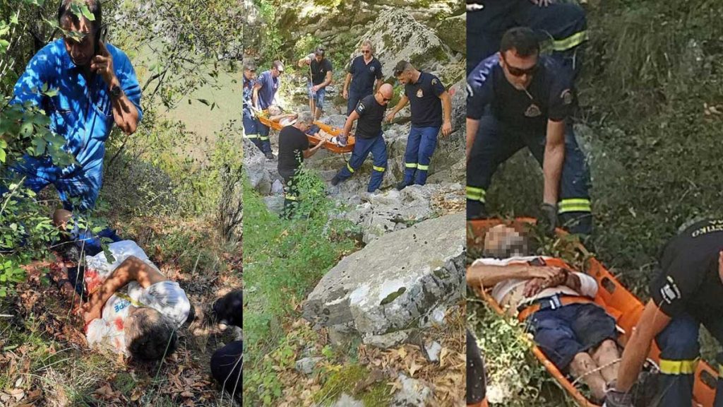 Άρτα – Επίθεση αρκούδας σε άνδρα: «Με πήρε τηλέφωνο ο αδερφός του και μου λέει “τρέξε να τον σώσεις”»