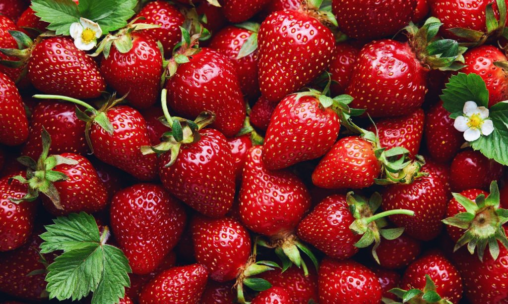 Νέα έρευνα: Οι φράουλες μπορούν να προστατεύσουν από την κατάθλιψη