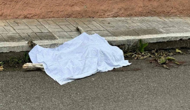 Φρικτός θάνατος σκύλου στο Αγρίνιο – Τον έσυραν με αυτοκίνητο στην άσφαλτο (σκληρές εικόνες)