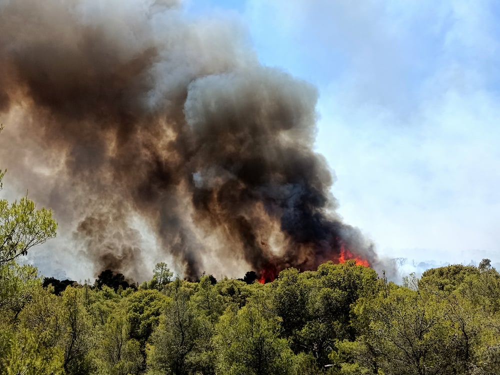 Φωτιά στην περιοχή Καινούργιο Φθιώτιδας – Στο σημείο επιχειρούν επίγειες και εναέριες δυνάμεις