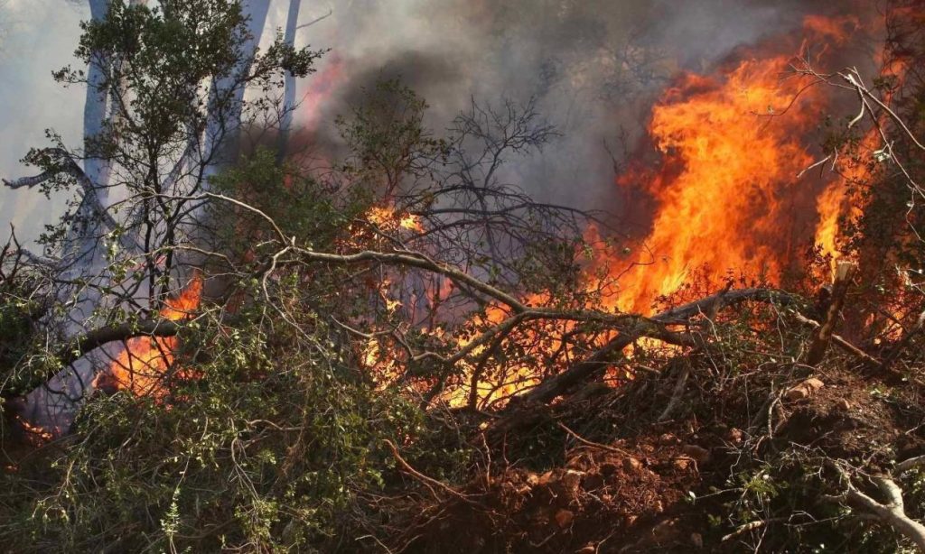 Φωτιά σε χαμηλή βλάστηση στην Άκρη Ελασσόνας