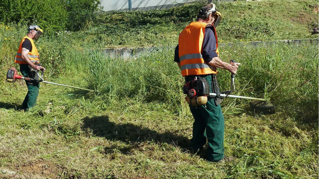 Την 1η Απριλίου ανοίγει η πλατφόρμα για τις δηλώσεις καθαρισμού των οικοπέδων