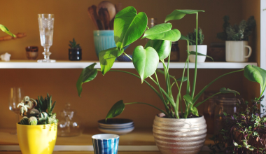 Oκτώ πράγματα που φέρνουν κακή τύχη μέσα στο σπίτι