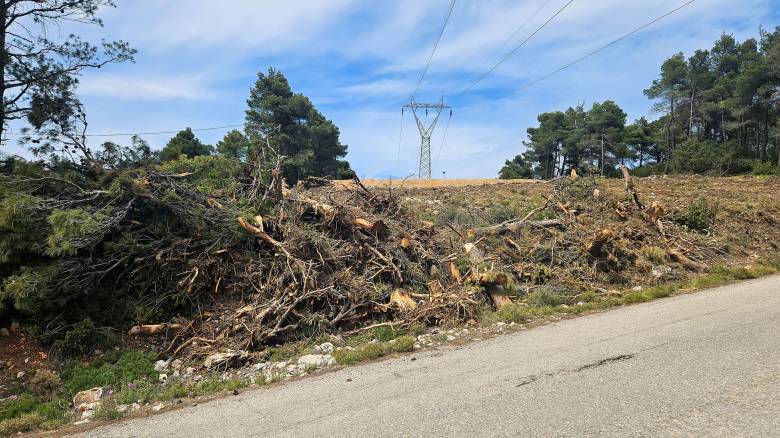 Όλα όσα πρέπει να ξέρετε για τον καθαρισμό των οικοπέδων: Η νέα προθεσμία και τα πρόστιμα
