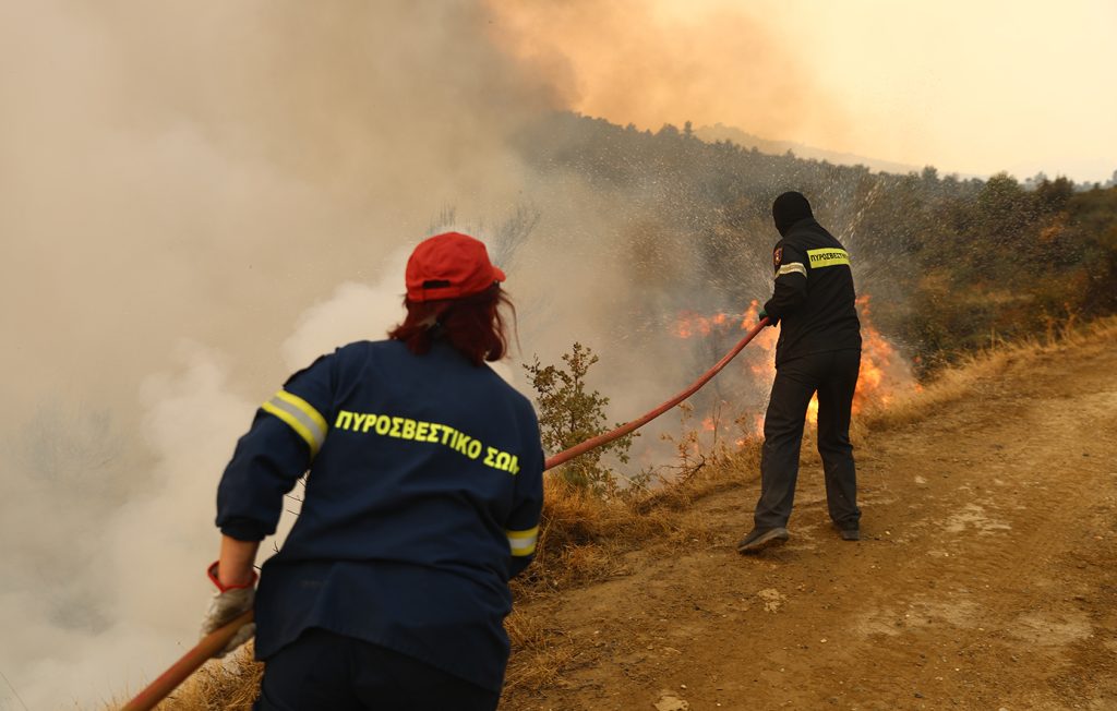 Φωτιά σε δασική έκταση στην περιοχή Λιβάδι Κεφαλληνίας: Προειδοποιητικό μήνυμα στους κατοίκους (upd)
