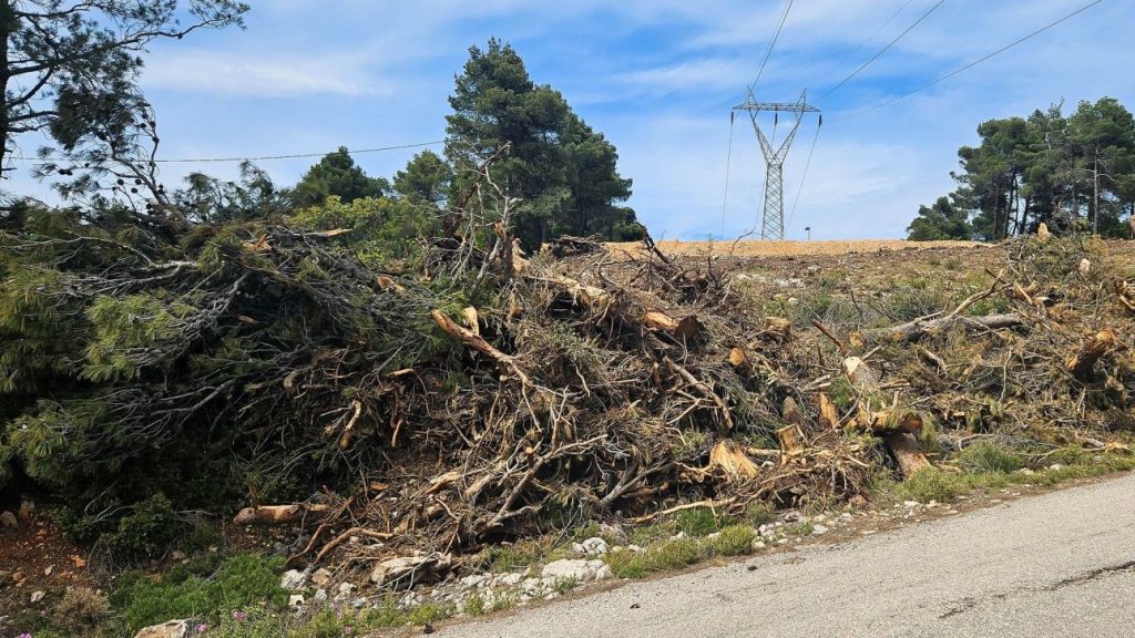Ιδιοκτήτες δηλώνουν στην πλατφόρμα ψεύτικους καθαρισμούς οικοπέδων – Τι ανέφερε ο Γ.Κωνσταντέλλος