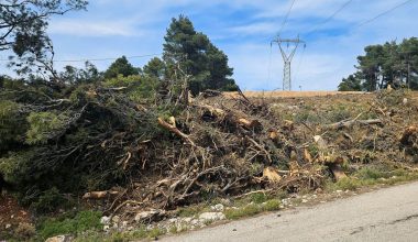 Ιδιοκτήτες δηλώνουν στην πλατφόρμα ψεύτικους καθαρισμούς οικοπέδων – Τι ανέφερε ο Γ.Κωνσταντέλλος
