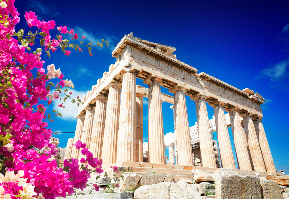 Ποιο είναι το σπάνιο λουλούδι που φυτρώνει μόνο στην Ακρόπολη της Αθήνας