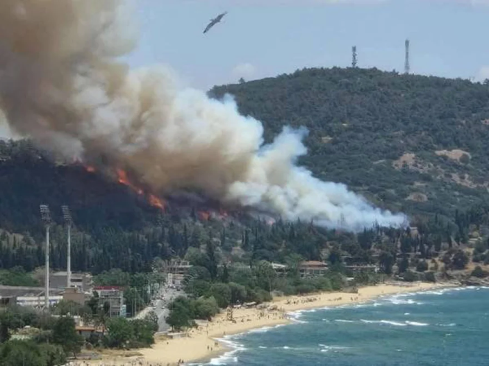 Φωτιά στην Άσπρη Άμμο Καβάλας – «Παραμείνετε σε ετοιμότητα» (βίντεο)