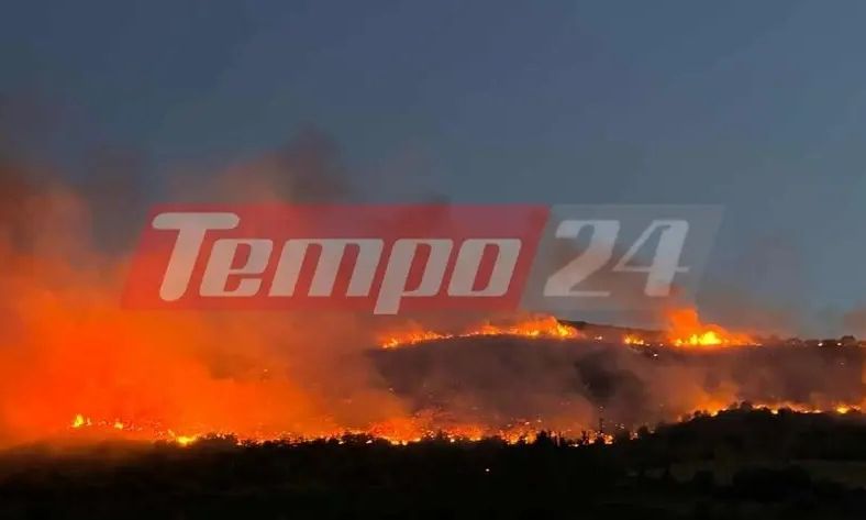 Μεγάλη φωτιά  στην Παλαιοπαναγιά Ναυπάκτου – Φλέγεται το δάσος – Εκκενώσεις πληθυσμού (βίντεο)