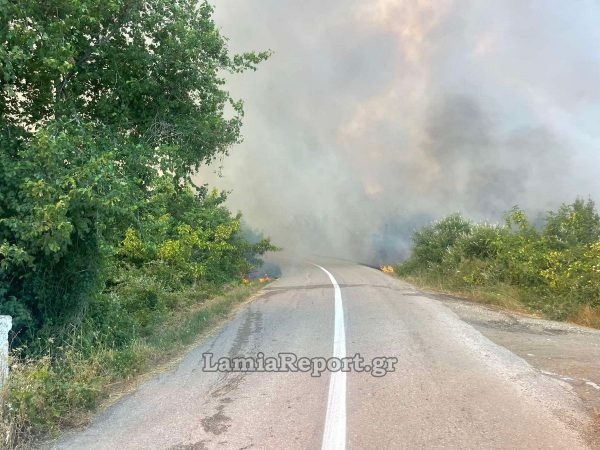 Φωτιά στο Αχλάδι Στυλίδας: Ήχησε το 112 – Σηκώθηκαν και εναέρια μέσα (βίντεο-φωτο)