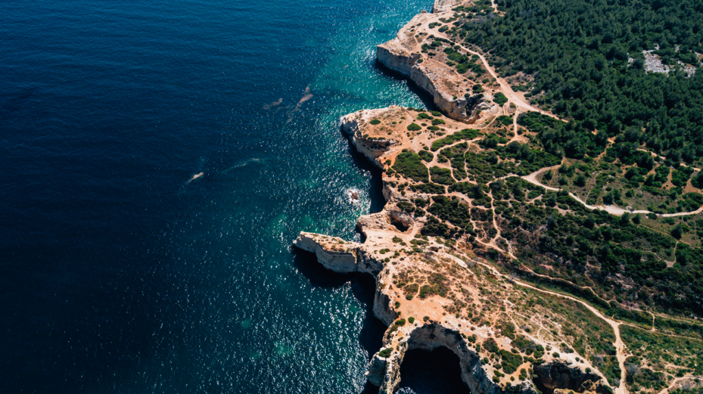 Περίεργα φαινόμενα στην Μεσόγειο Θάλασσα: Θαλάσσιες «τρύπες» ανοίγουν σε διάφορα σημεία (βίντεο)
