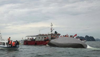 Βιετνάμ: Aνετράπη τουριστικό σκάφος στον κόλπο Χαλόνγκ – Τουλάχιστον 27 νεκροί (φωτο)
