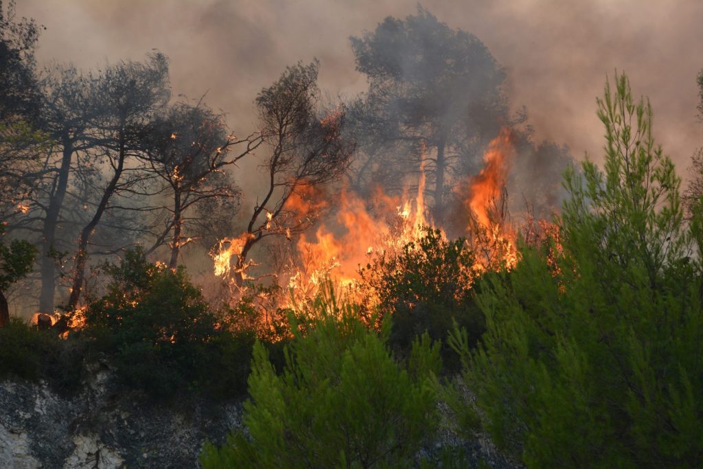 Λάρισα: Φωτιά στα Βασιλικά Φαρσάλων
