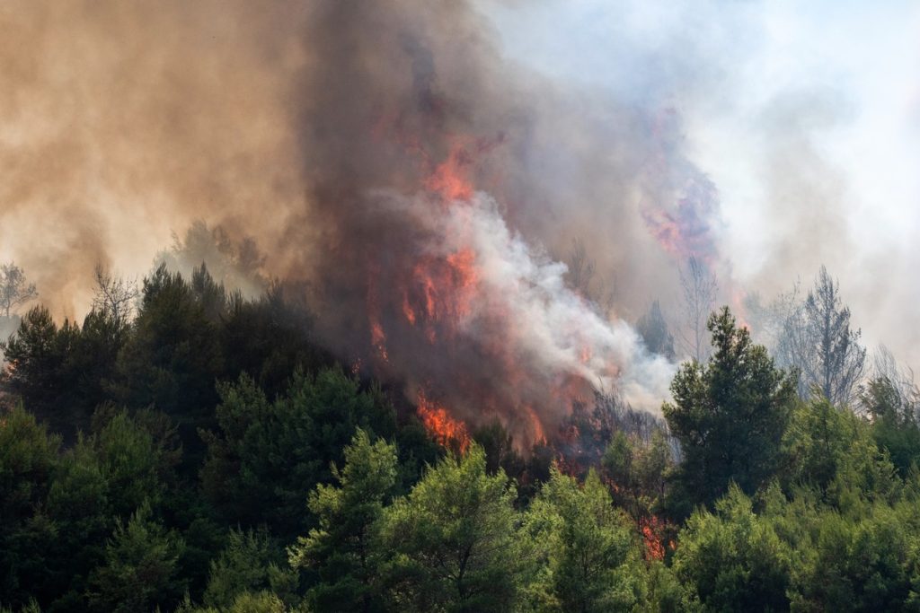 Φωτιά στη Λυχναφτιά Τήνου