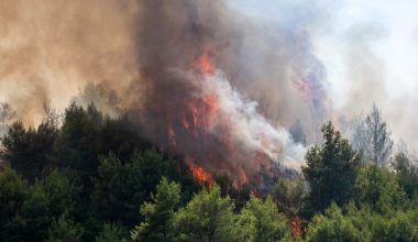 Μεγάλη φωτιά στον Άγιο Κοσμά Γρεβενών – Ήχησε το «112» – Ενισχύθηκαν οι δυνάμεις της Πυροσβεστικής (upd)