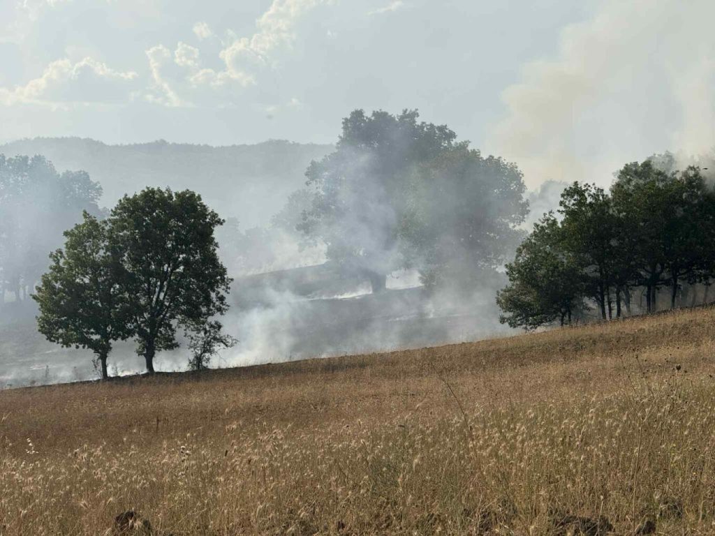Σαλαμίνα: Συνελήφθη 40χρονος για εμπρησμό από αμέλεια