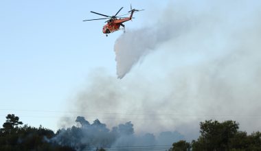 Ορεστιάδα: Χωρίς ενεργό μέτωπο η φωτιά στην περιοχή Αμμόβουνο (upd)