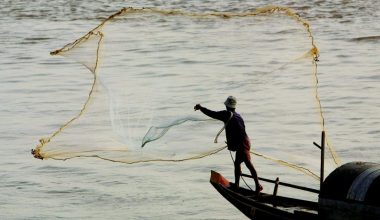 Νότια Κορέα: Ανεξήγητο υδρόβιο πλάσμα προκαλεί πανικό – Το βίντεο που έγινε viral