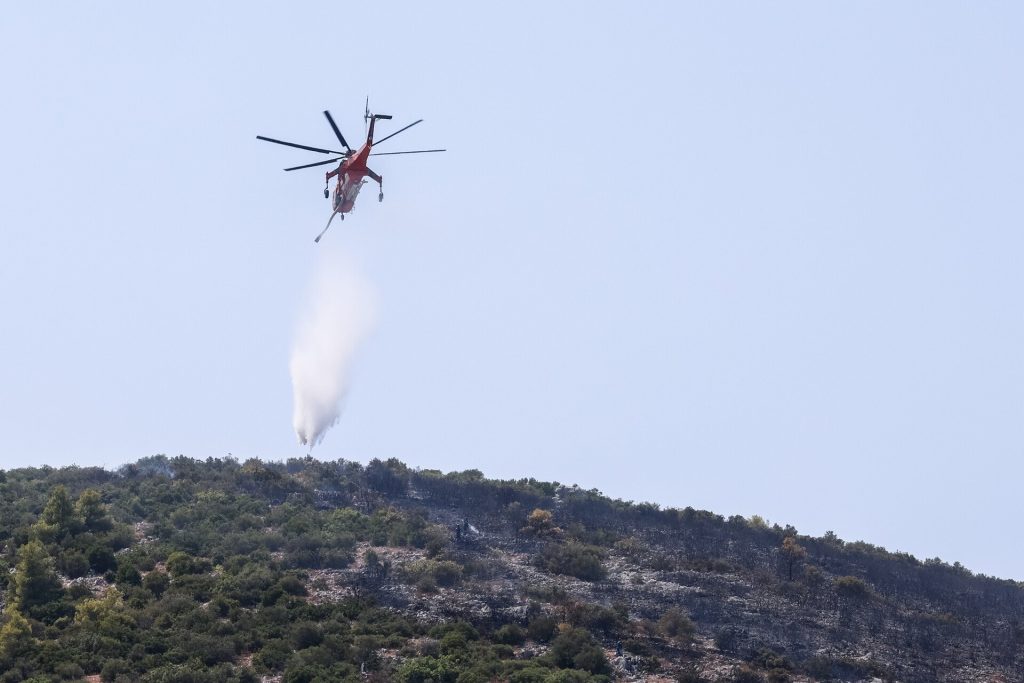 Οριοθετήθηκε η φωτιά στα Οινόφυτα: Άμεση η κινητοποίηση της Πυροσβεστικής (upd)