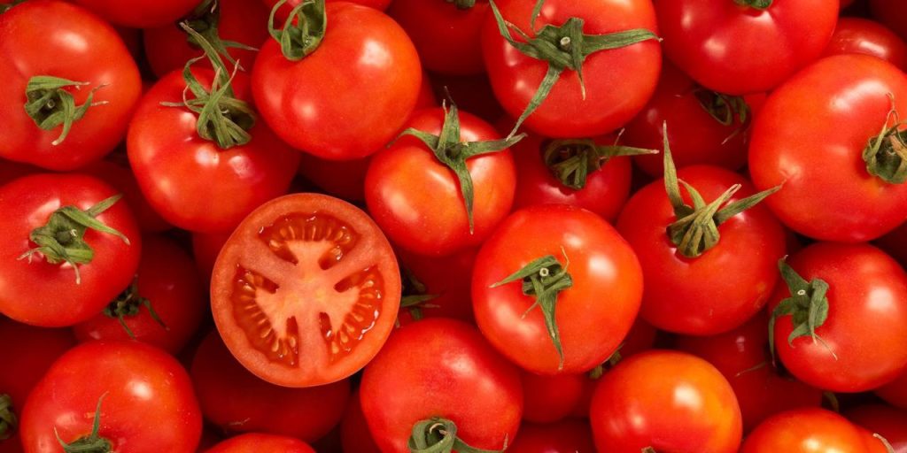 Η Ελλάδα είναι η χώρα με την μεγαλύτερη παραγωγή τομάτας στην Ευρώπη και όμως εισάγει από άλλες χώρες!