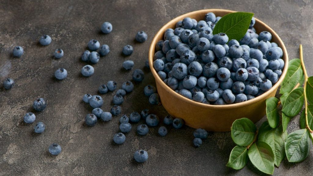 Εσύ τα ήξερες; – Αυτά είναι τα οφέλη που έχουν για την υγεία τα μύρτιλα