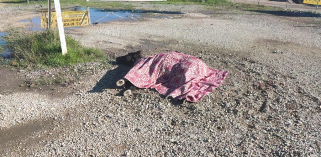 Θανατώθηκε με ευθανασία το άλογο που χτυπήθηκε στο Αγρίνιο – Μόνο και αβοήθητο ήταν μετά το ατύχημά του (βίντεο)