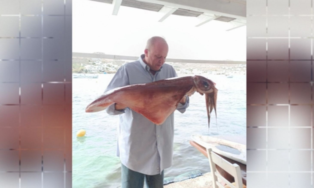Μύκονος: Εμφανίστηκαν δύο μεγάλα καλαμάρια βάρους 17 κιλών και μήκους 1 μέτρου! (βίντεο)