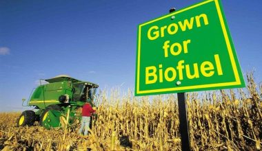 T&E: «Όχι» στα βιοκαύσιμα μετά το 2035 για τα νέα αυτοκίνητα της Ε.Ε.