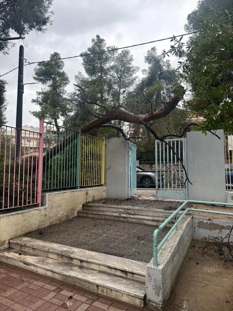 Δέντρο έπεσε στην πόρτα νηπιαγωγείου – Από τύχη δεν υπήρξαν τραυματισμοί