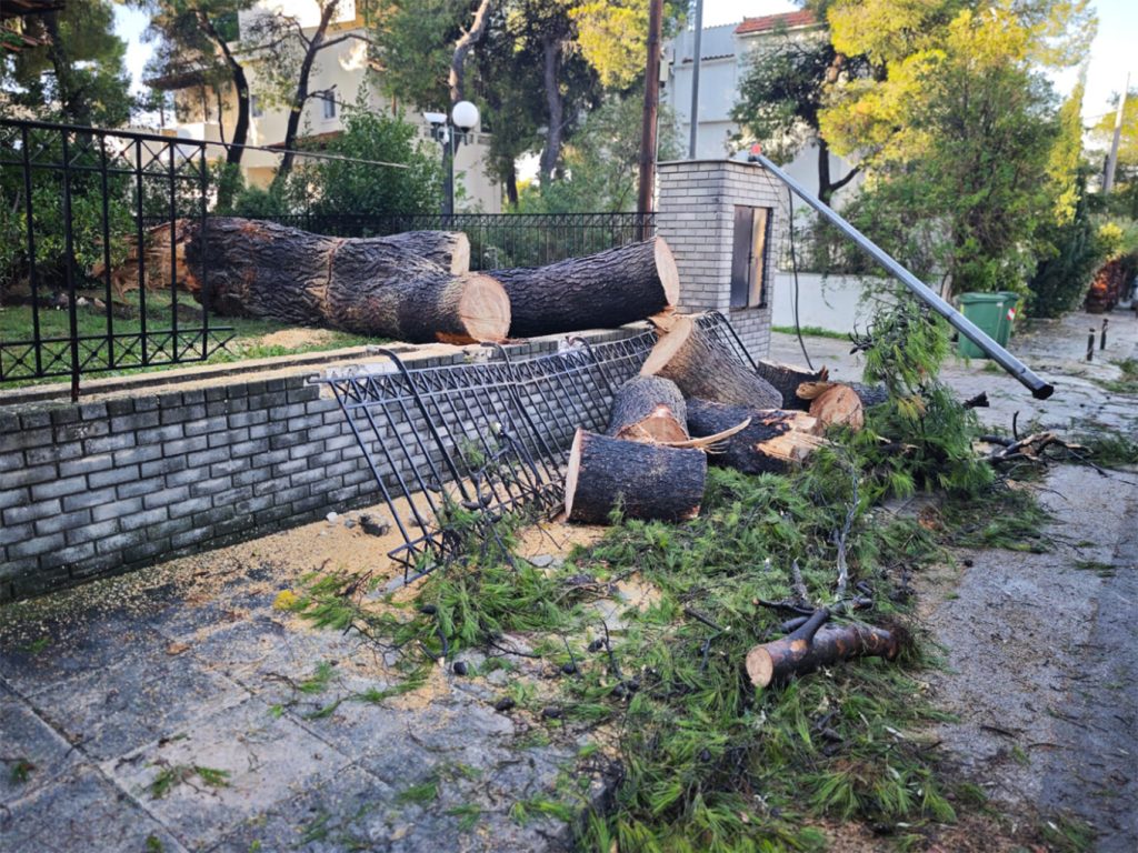 Το απότοκο της κακοκαιρίας στην Κηφισιά: Έπεσαν δέντρα – Καταστράφηκαν οχήματα – Ζημιές & σε κολόνες της ΔΕΗ (φωτο)