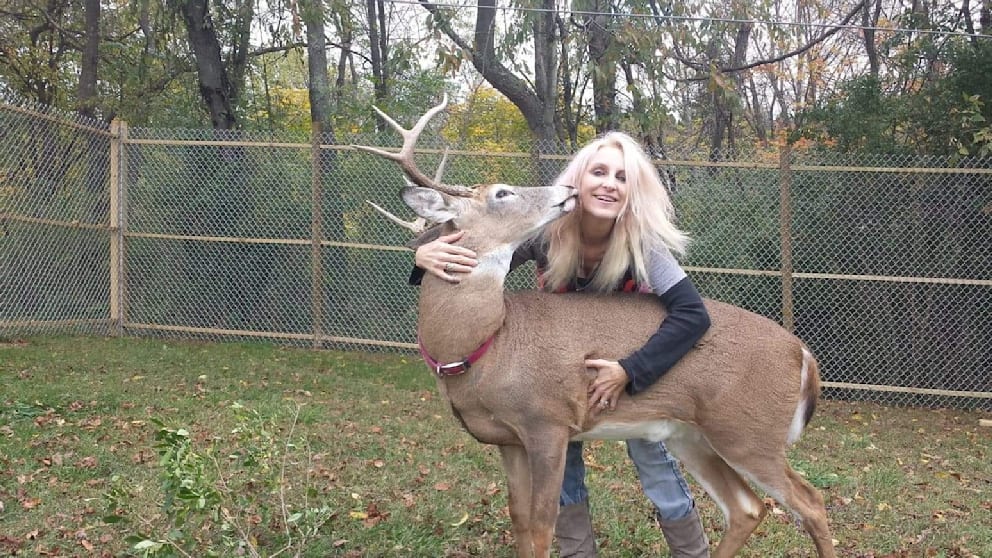 ΗΠΑ: Νεκρή 64χρονη μετά από άγρια επίθεση που δέχθηκε από το ελάφι που έσωσε και μεγάλωσε! (φωτο)