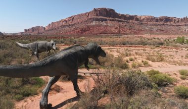 Επιστήμονες κατάφεραν να «διαβάσουν» διατηρημένα έμβρυα δεινοσαύρων μέσα σε αυγά 200 εκατ. ετών