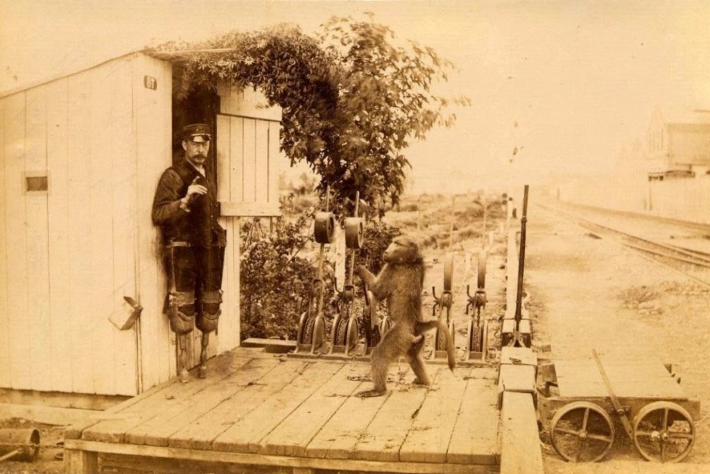 Ο μπαμπουίνος που εργαζόταν στον σιδηρόδρομο και δεν έκανε ποτέ λάθος