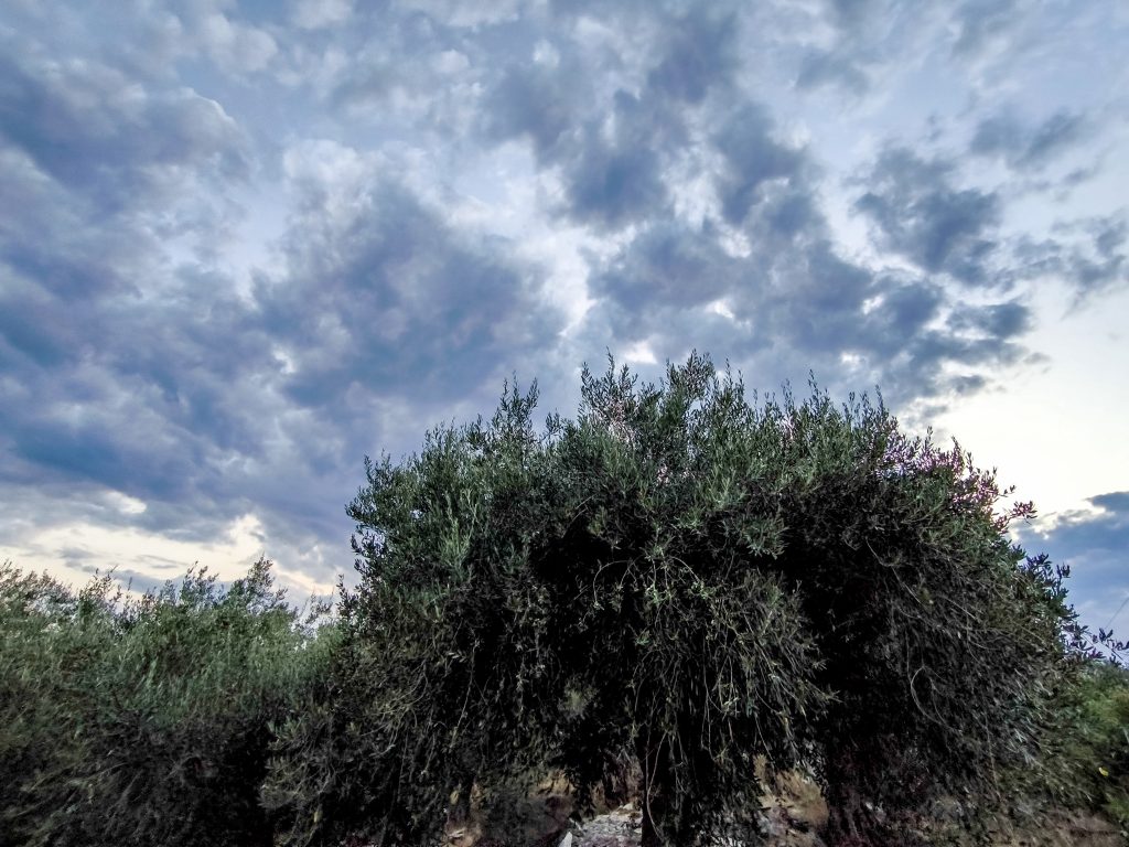 Καιρός: Iσχυροί άνεμοι αύριο έως 8 μποφόρ – Πού θα σημειωθούν τοπικές βροχές