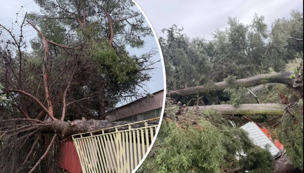 Ανεμοστρόβιλος «σάρωσε» το Μεσολόγγι: Ζημιές σε σπίτια και επιχειρήσεις – Ξεριζώθηκαν δέντρα (φώτο)
