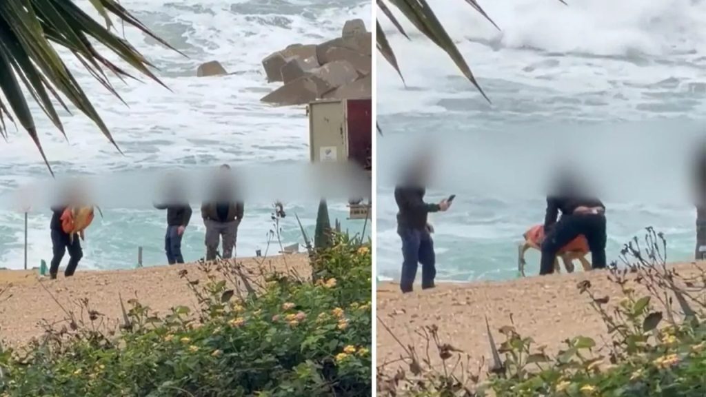 Κύπρος: Συνελήφθησαν τέσσερις υπάλληλοι που κλωτσούσαν και πετούσαν το κουφάρι θαλάσσιας χελώνας (βίντεο)