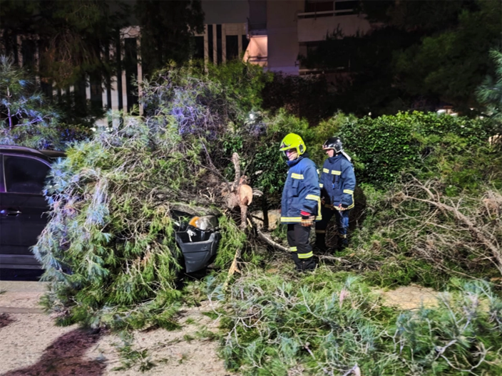 Δέντρο καταπλάκωσε αυτοκίνητο στην περιοχή του Χολαργού (φώτο)