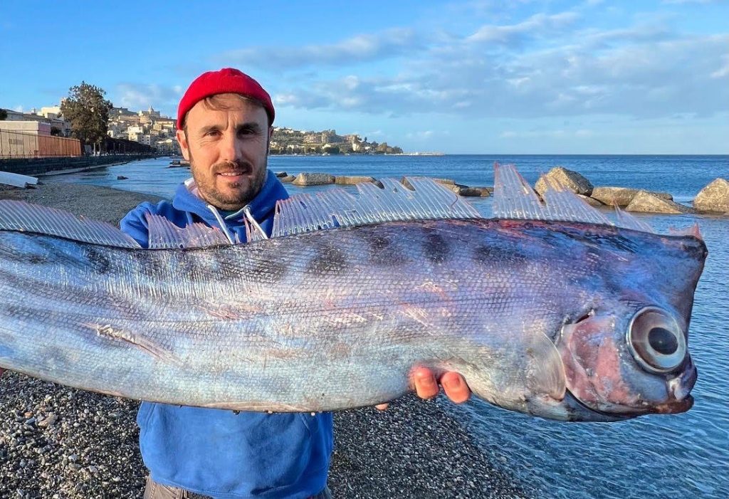 Σπάνιο ψάρι που «μοιάζει σαν να βγήκε από τη μυθολογία» ξεβράστηκε στις ακτές της Σικελίας