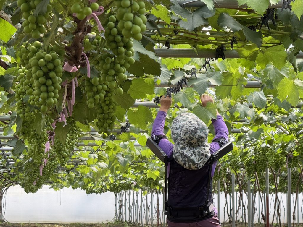 Hyundai: Κατασκεύασε ρομποτικό γιλέκο για αγρότες (βίντεο)