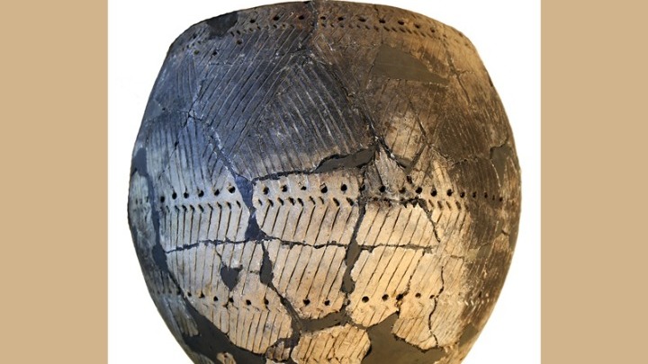 Μελέτη σε οργανικά υπολείμματα σκευών: Οι προϊστορικοί κάτοικοι της Ευρώπης είχαν εκπληκτικά πολύπλοκες κουζίνες