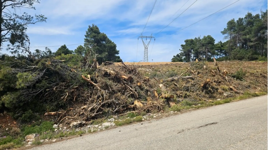 Από την 1η Απριλίου ξεκινά η προθεσμία για τον καθαρισμό των οικοπέδων – «Τσουχτερά» τα πρόστιμα