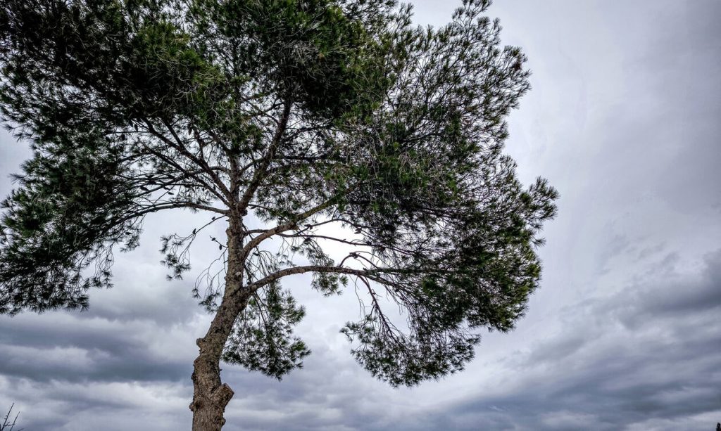 Καιρός: Τοπικές νεφώσεις και βροχές την Κυριακή του Πάσχα – Έως 21 βαθμούς Κελσίου η θερμοκρασία